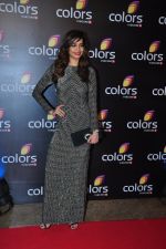 Karishma Tanna at Colors red carpet on 12th March 2016